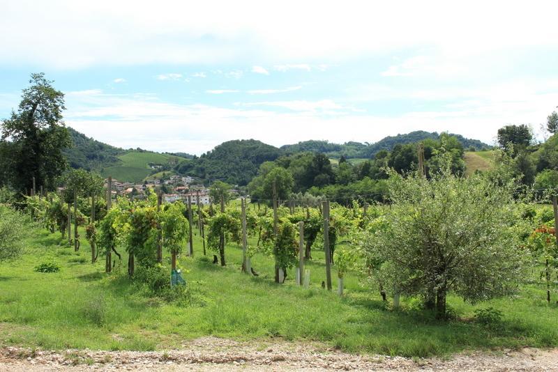 בסאנו דל גראפה Agriturismo Mazzeracca מראה חיצוני תמונה